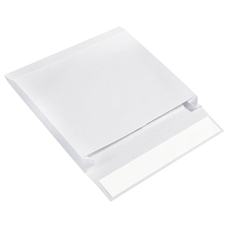 Bsc Preferred 10 x 13 x 2'' Expandable Ship-Lite Envelopes, 100PK SLE10132WS